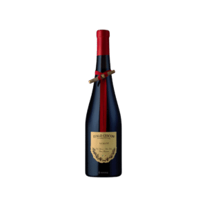 Merlot "Il Tralcetto"  ㅤㅤㅤ  ㅤㅤㅤ   ㅤㅤㅤ  ㅤ    ㅤㅤㅤ  ㅤ